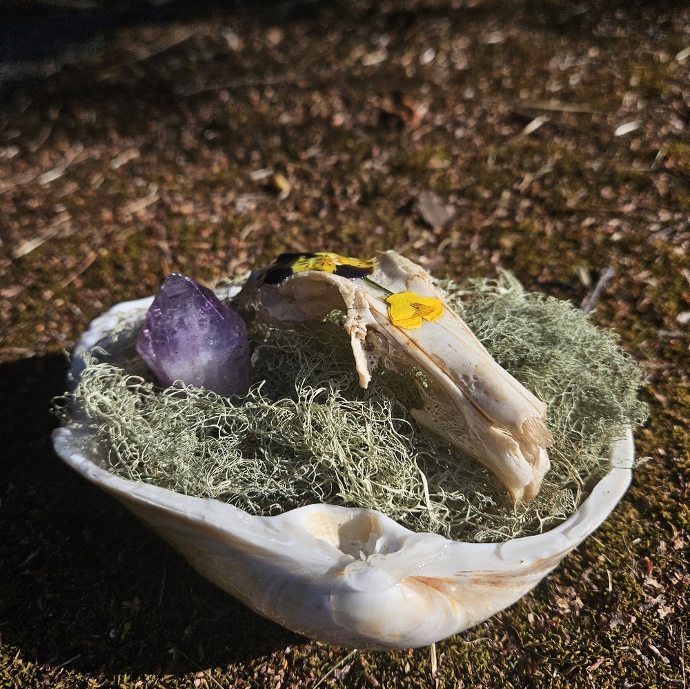 Rabbit by the Sea🌊 Alter piece✨️